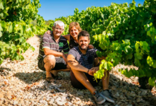 Domaine Vordy
