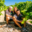 Domaine Vordy