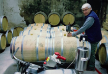 Domaine Vordy