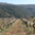 Domaine Vordy