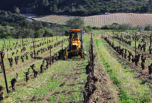 Domaine Vordy