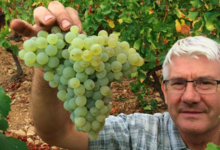 Domaine Vordy