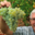 Domaine Vordy