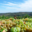 Domaine Vordy
