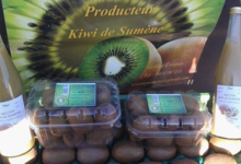 Kiwi de Sumène