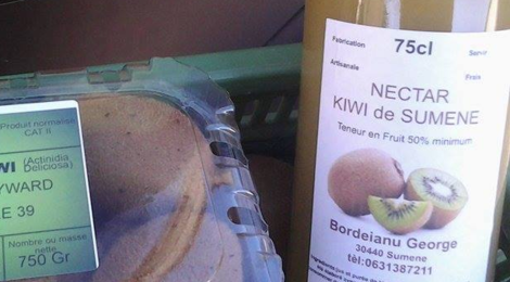 Kiwi de Sumène. nectar de Kiwis