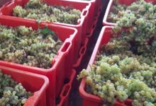Domaine de Ravanès