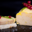 Foie gras de canard entier