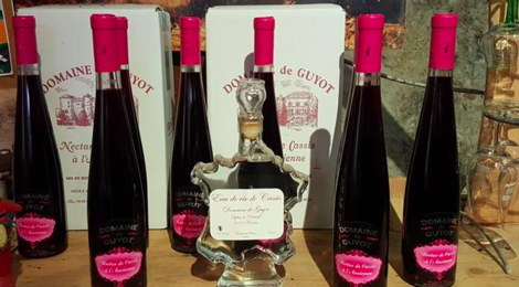 Domaine De Guyot. Nectar de cassis à l'ancienne