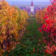 Domaine Geschickt - Vins d'Alsace