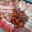 L'artisan boucher de Bergheim. plateau de charcuterie