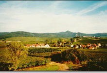 Berger Claude, vins d'Alsace