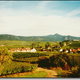 Berger Claude, vins d'Alsace