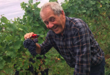 Domaine Baumann Zirgel