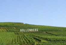 Domaine Du Bollenberg