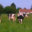  Yaourts De La Ferme "Les délices de Nathalie "
