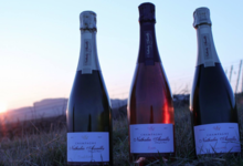 Champagne Nathalie Assailly. champagne brut rosé
