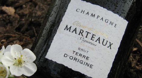 Champagne Marteaux. Brut Terre d'origine