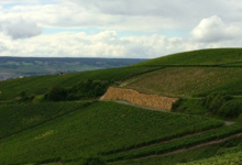 Champagne Thienot