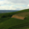 Champagne Thienot