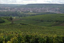 Champagne Thienot