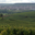 Champagne Thienot