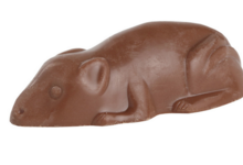Jean Trogneux. souriceaux en chocolat praliné lait