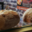 Boulangerie Pâtisserie Mercier. pain de campagne