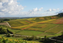 Champagne Horiot, père et fils
