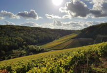 Champagne Horiot, père et fils