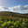 Champagne Horiot, père et fils