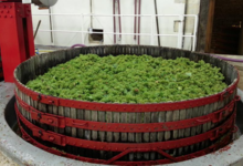 Champagne Horiot, père et fils
