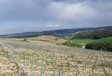 Champagne Horiot, père et fils