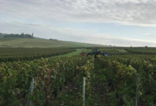Champagne Kévin Dufour