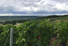 Champagne Kévin Dufour