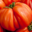 Légumes et saveurs. Tomates Coeur de Boeuf