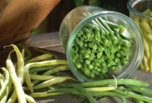 Légumes et saveurs. haricots en conserve