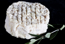 Chèvrerie des Oliviers. Camembert de chèvre