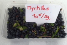 Chèvrerie des Oliviers. Myrtilles sauvages