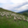 La ferme du GAEC de l'Herbe