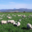 La ferme du GAEC de l'Herbe