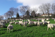 La ferme du GAEC de l'Herbe