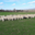 La ferme du GAEC de l'Herbe