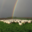 La ferme du GAEC de l'Herbe