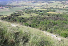 La ferme du GAEC de l'Herbe