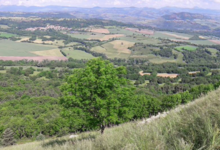 La ferme du GAEC de l'Herbe