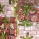 Boucherie brassacoise. Assiette de charcuterie