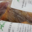 La ferme Aubijoux. Poulet bio