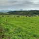 Ferme Le Roc