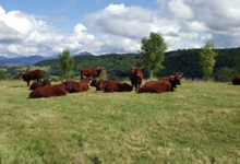 Ferme Le Roc
